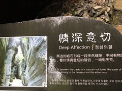 -梭布垭石林景区