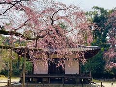 -醍醐寺