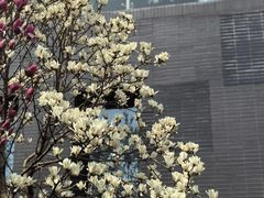 -南京工程学院(江宁校区)