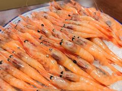 -黑松白鹿(崇文门新活馆店)