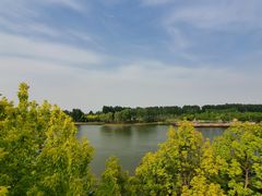 -东郊湿地公园