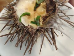 -海胆小馆(东北水饺·春柳店)