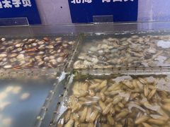 -亚马逊海鲜自助(梅溪湖步步高店)