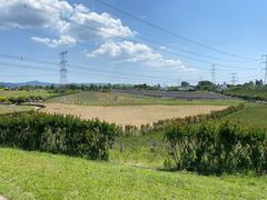 -紫颐香薰山谷景区