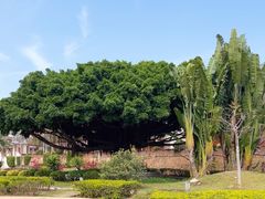 -集美学村