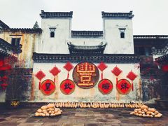-水香园·中国徽菜名店(紫霞大道店)
