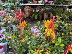 -平吉花卉市场