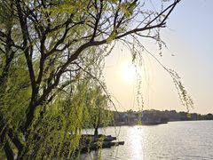 -阳澄湖半岛旅游度假区