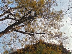 -千佛寺