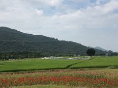 -艾米稻香小镇