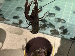 -虾胡闹龙虾馆(湄南河店)