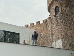 -J Create城市露营咖啡·简餐·宠物(上海动物园店)