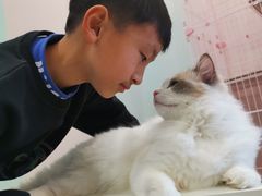 -酷豆宠物咖啡·宠物美食·撸猫馆