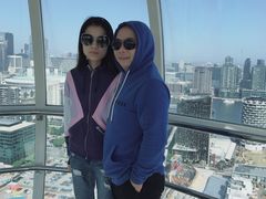 -墨尔本之星 观景摩天轮