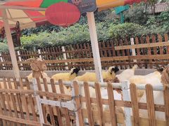 -广州长隆国际大马戏