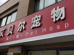 -艾贝尔宠物医院 ·内科全科(梁溪路店)