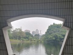 -晓港公园