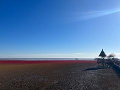 -红海滩国家风景廊道