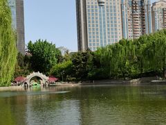 -团结湖公园