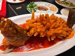 松鼠鱼-北院·果木烤鸭·25年东北菜(创意产业园店)