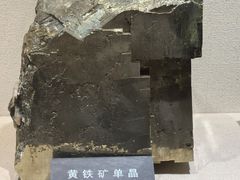-安徽省地质博物馆