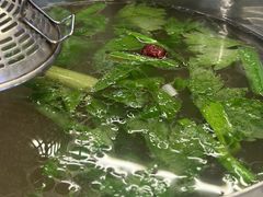-刘少华贵州小黄牛·鲜牛肉火锅(总店)