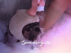 -Oh My Dog宠物沙龙(伊珊娜皮毛护理店)