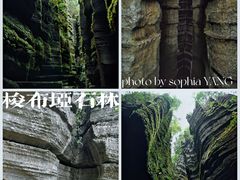 -梭布垭石林景区