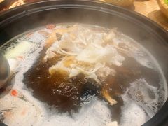 -滇野云南野生菌餐厅(陕西南路店)