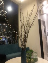-菲·木田moontin造型salon