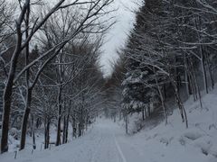 -雪谷