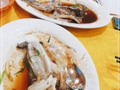 -鸿达渔港