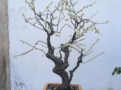 -鼓楼(西湖风景名胜区)