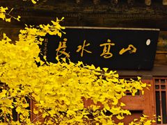 -晋祠公园
