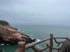 -魚當家