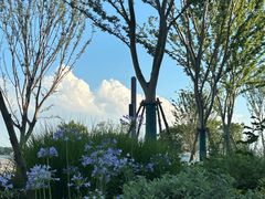 -岁粤Moon·湖景餐厅(月光码头店)