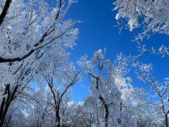 -中旅松花湖滑雪场