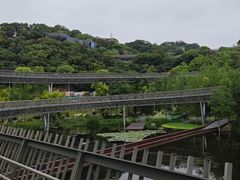 -福道