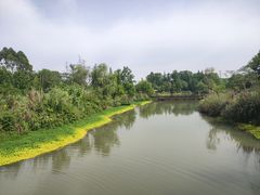 -桤木河湿地公园