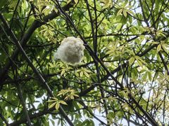 -南国桃园旅游度假区