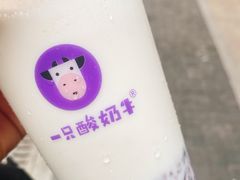 -一只酸奶牛(八一路店)