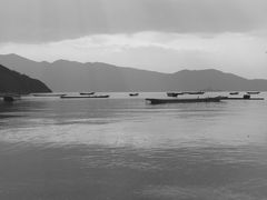 -泸沽湖国家级风景名胜区走婚桥