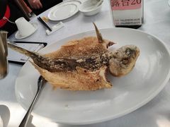 特色葱油飞鱼-岭南海晏楼(滨江东总店)