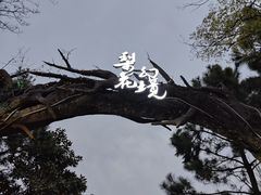 -茅山东方盐湖城景区