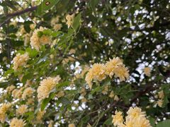-樽宴酒楼·地道川菜·品质宴请
