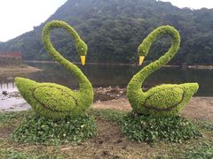 -广州市石门国家森林公园