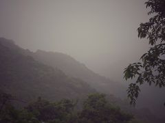 -梧桐山风景名胜区