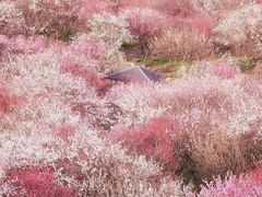 -大七孔景区-天生桥