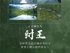 -呀诺达热带雨林