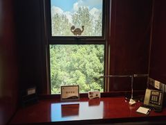 -常州环球恐龙城维景国际大酒店